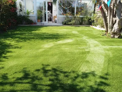 Jardin avec pelouse verte et ombres d’arbres sur le sol