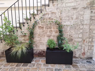 Gros plan sur pots noirs avec bambous et plantes grimpantes contre un mur ancien en pierre