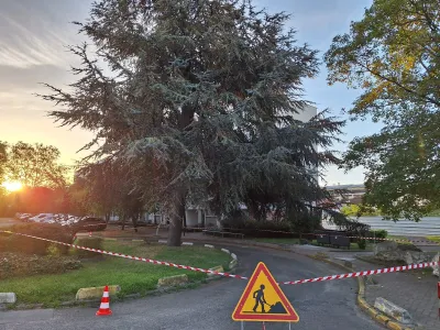 Travaux de jardin en cours avec pelouse et arbre, signalisation et ruban de sécurité au coucher du soleil.