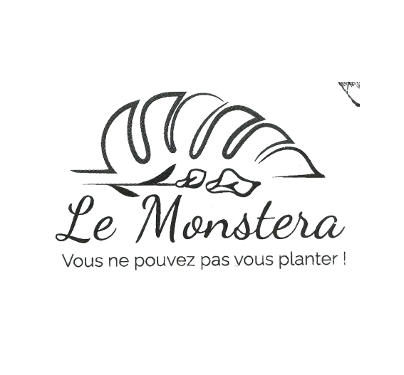 Le Monstera Fleuriste