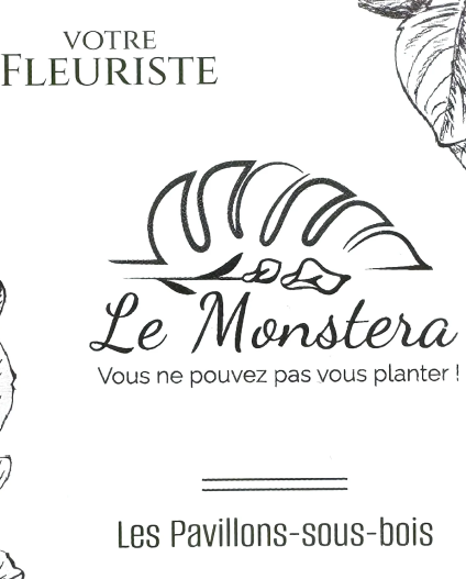 Le Monstera Fleuriste